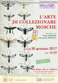 locandina_collezionaremosche200